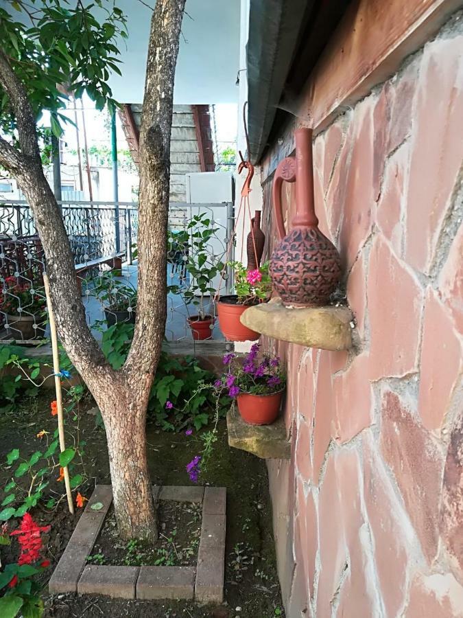 Runo Guest House Gagra Exterior photo